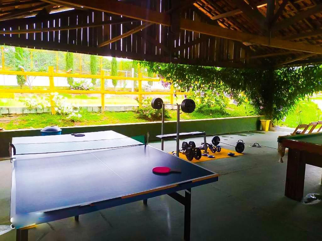 Bed & Breakfast Biomas
