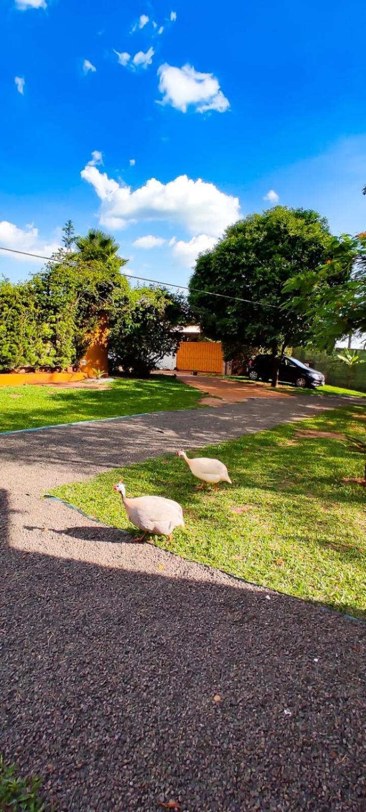 Bed & Breakfast Biomas *